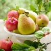 Pomme et Poire