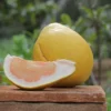 Limonade rose