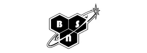 bsn logo