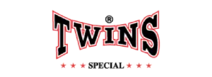 twins logo