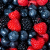 Mixed Berry