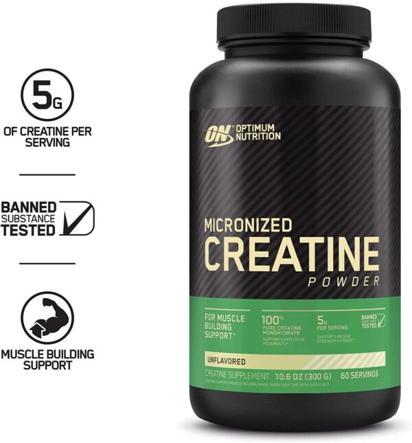 Micronised Creatine Powder 600g
