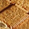 Biscuit