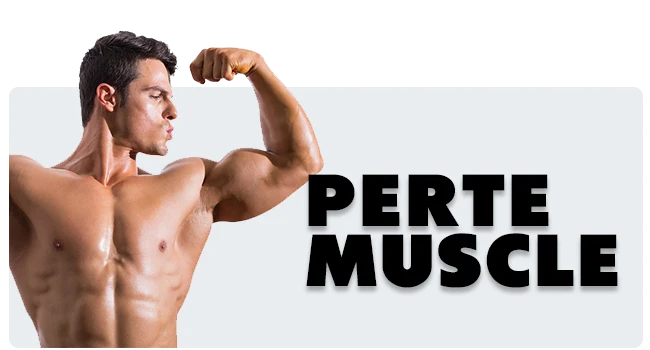 perte muscle