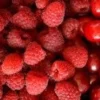 Fruits rouge