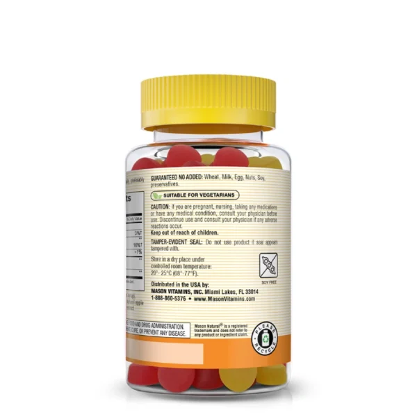 Apple Cider Vinegar 750mg 60 Gummies Mason Natural