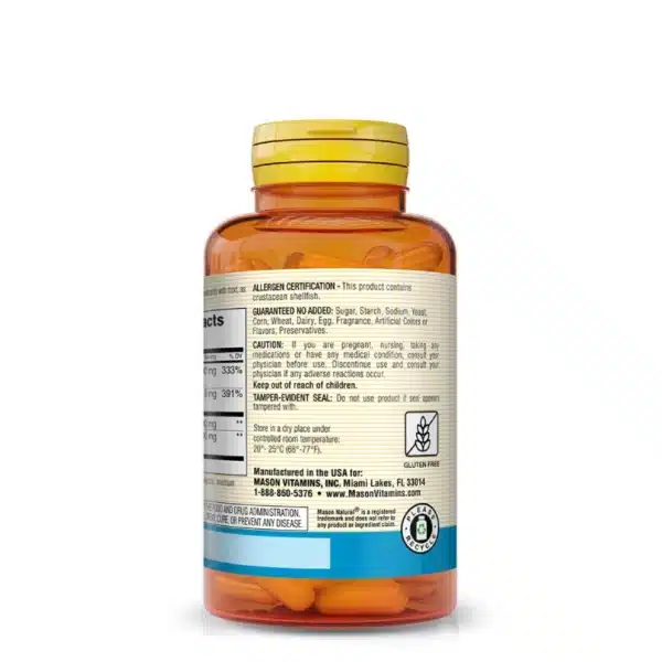 Glucosamine Complex + MSM Mason Natural – Articulations
