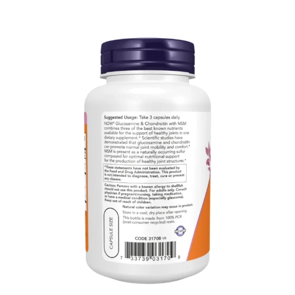 Glucosamine et Chondroitin + MSM 90 Capsules Now Foods