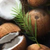 Noix de coco Crémé