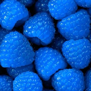 Framboise bleue
