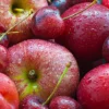 Cerise et Pomme